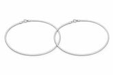 Pair of silver snake payal on a white background
