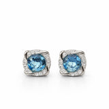 Pair of earrings with blue gemstones on a white background