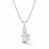 Silver pendant necklace on a white background
